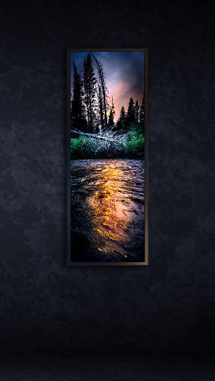 Forest Fire Sunset Framed Canvas