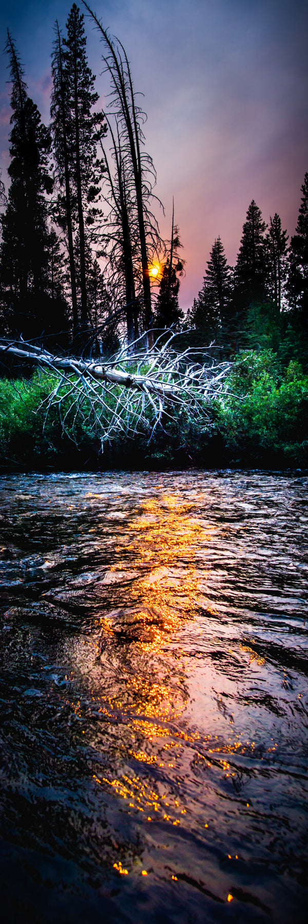 Forest Fire Sunset - jkphotoart