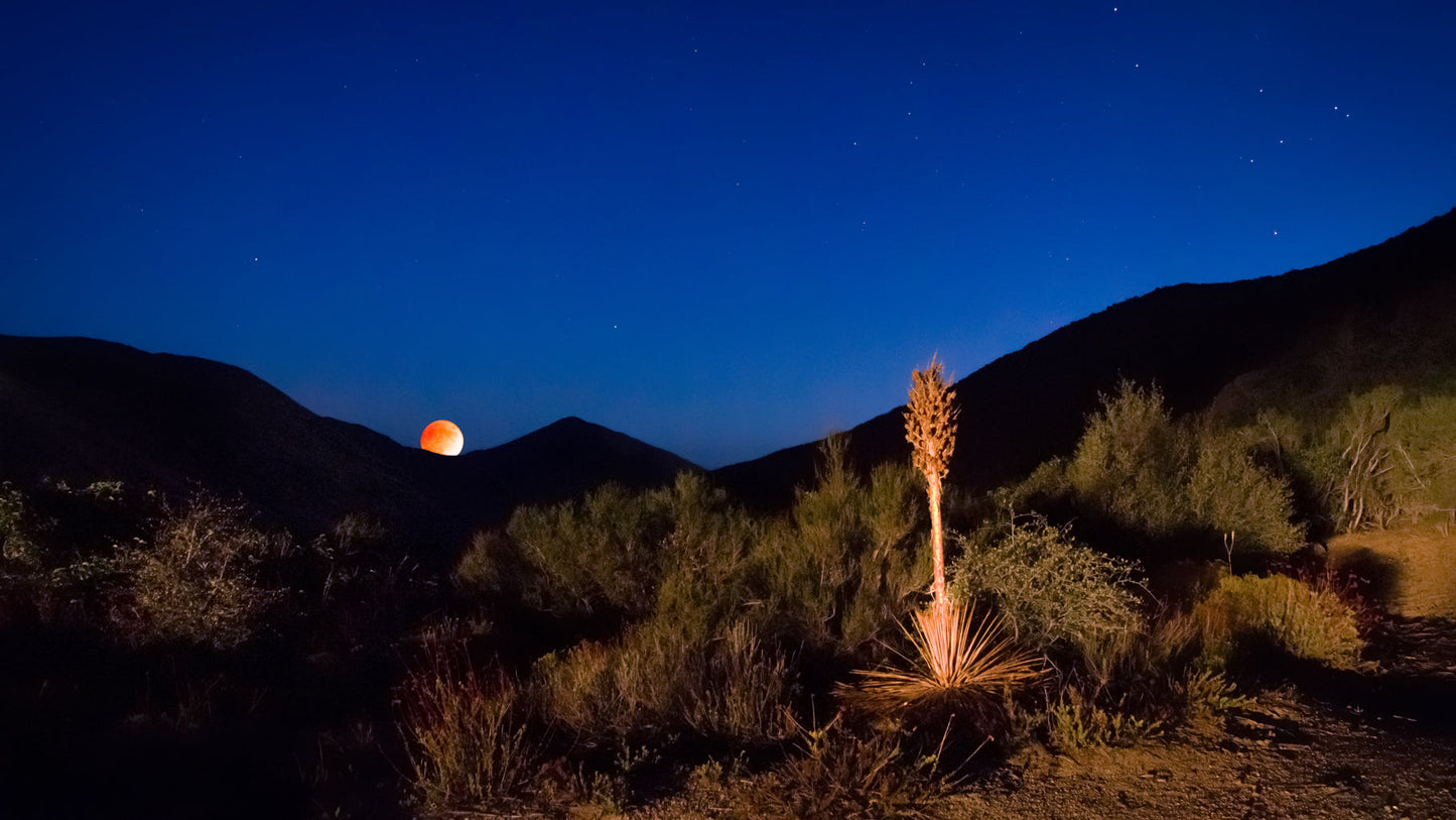Blood Moon One - jkphotoart