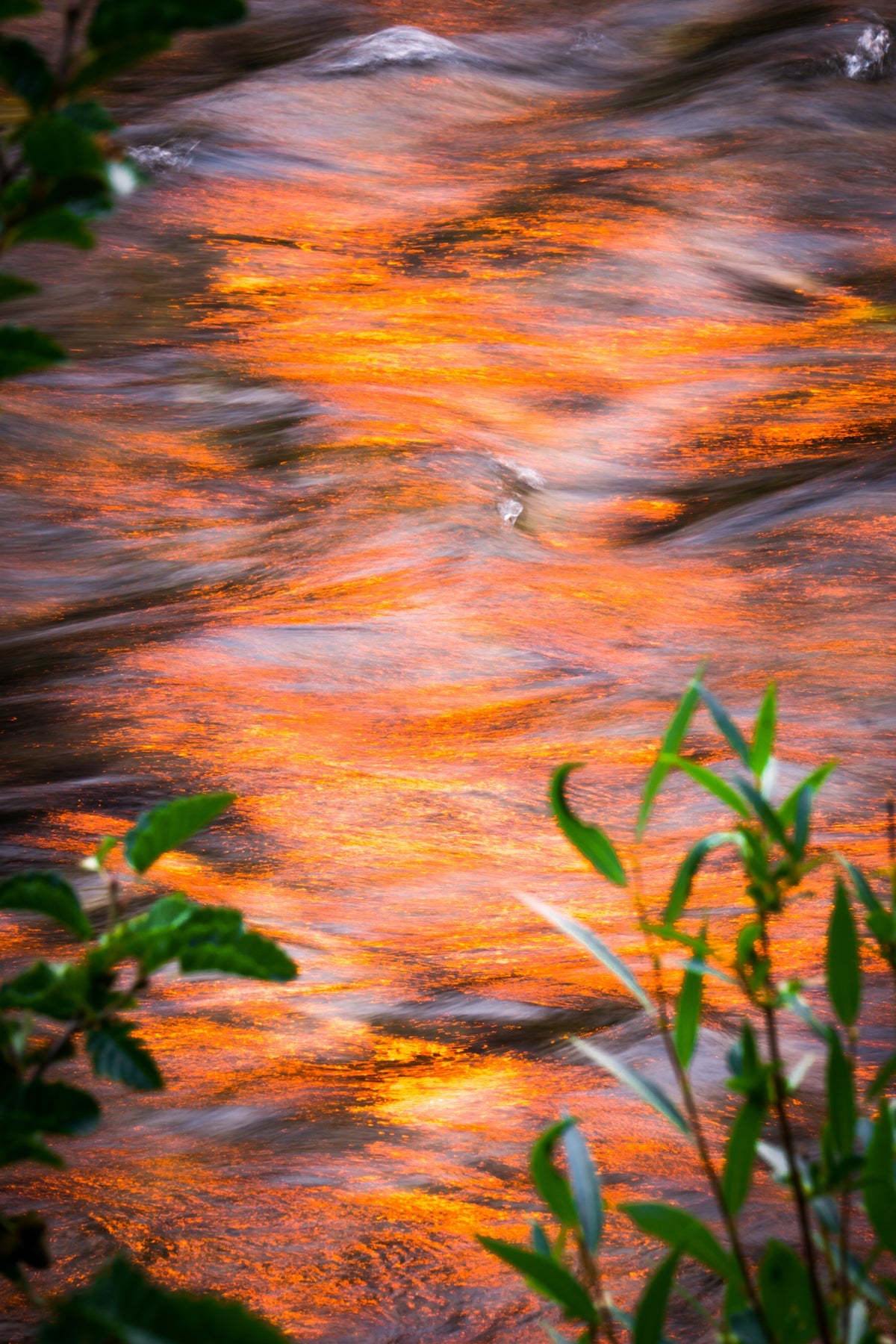 Reflected Sunlight - jkphotoart