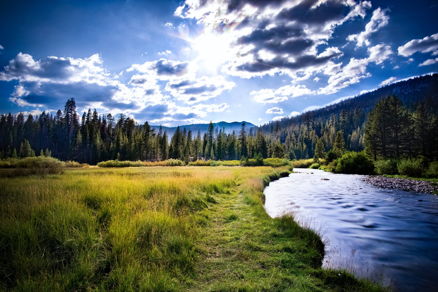 San Juaquin Meadow - jkphotoart
