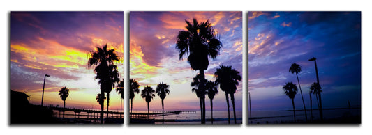 Pink Classic Palms Triptych - jkphotoart
