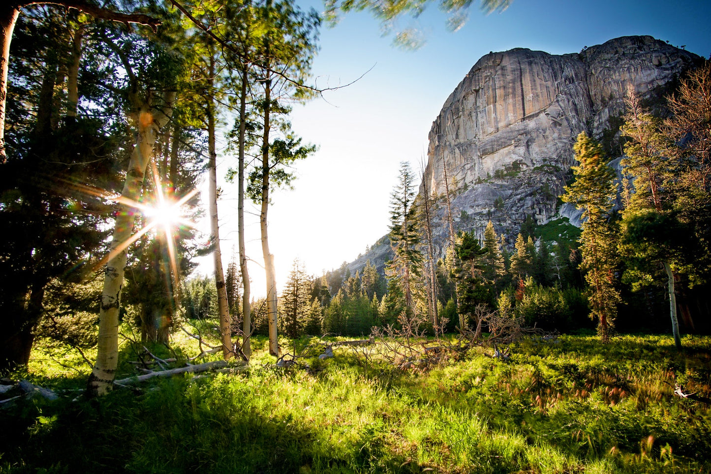 Yosemite Meadow - jkphotoart